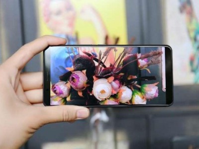      Vivo X20  X20 Plus 