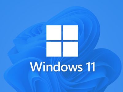 Windows 11      