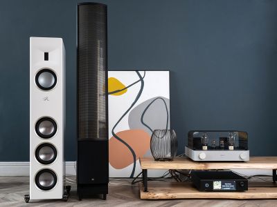  Martin Logan Motion XT F100:    