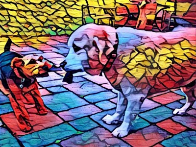  Prisma  Google    