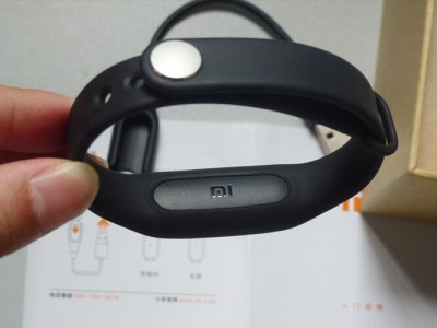 Xiaomi     Mi Band