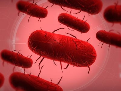 Plague Inc The Cure 4PDA