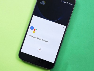  Google Assistant    