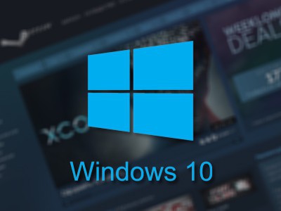 Windows 10        Steam