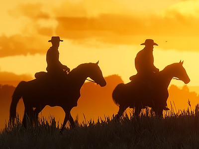   . PC- Red Dead Redemption 2     