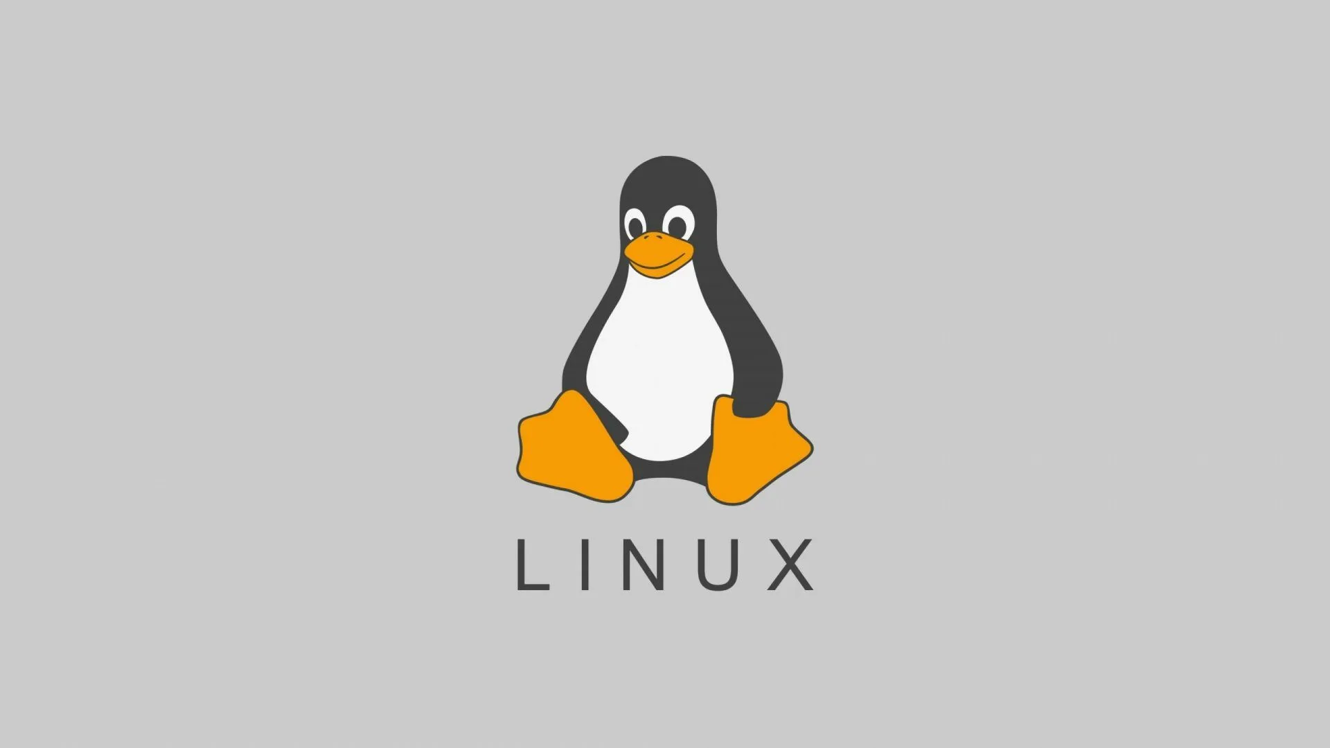 Вышло стабильное ядро Linux 6.2. Что в нём нового? - 4PDA