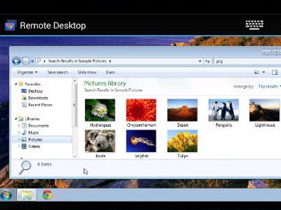 Chrome Remote Desktop -      