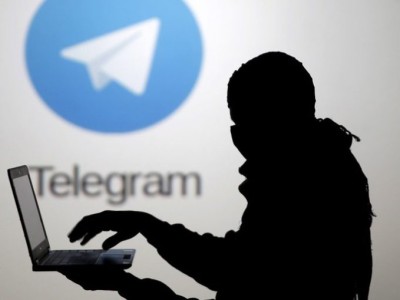  Signal   Telegram