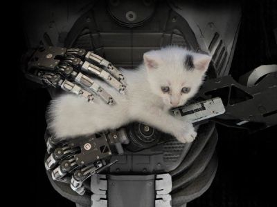 , . The Talos Principle 2    []