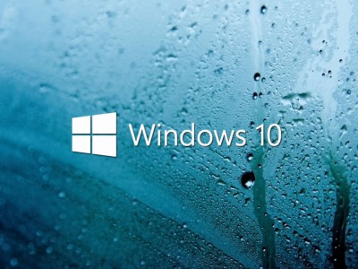  Windows 10      10%