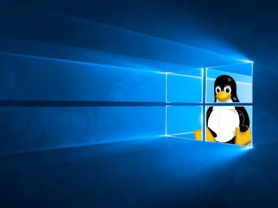    WSL:  Linux   Microsoft Store