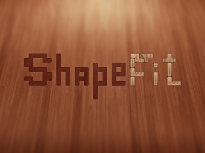 ShapeFit -    