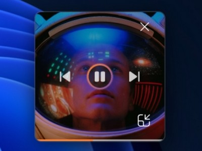  Windows Media Player:     