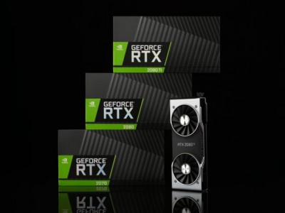  NVIDIA    GeForce RTX 2080 Ti