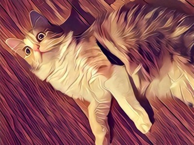   Prisma   