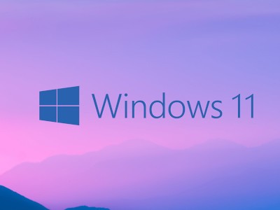  42%      Windows 11 