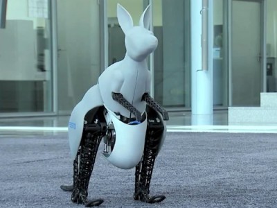 Bionic Kangaroo - ,   