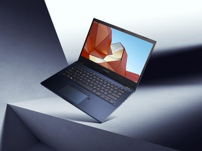 ASUS ExpertBook P2:    Intel   