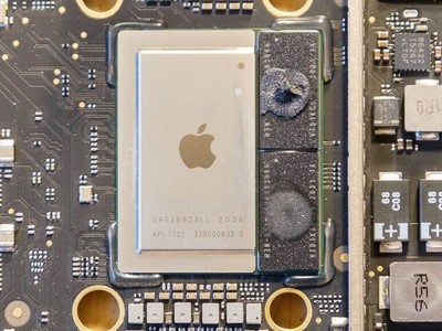   Apple M1  Samsung Exynos   