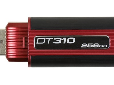 Kingston  DataTraveler 310 - USB -  256 