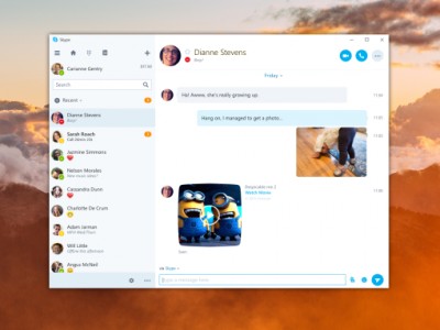  Skype Preview       