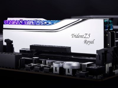 G.Skill  Trident Z5 Royal   DDR5   48     8400 MT/c