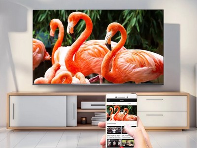  TCL: Android TV   4K   