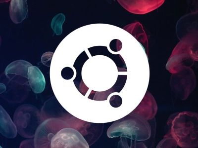   Ubuntu 24.04 LTS.  ?