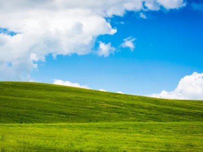   Windows XP    