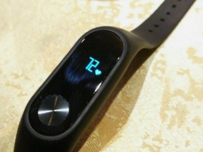 Xiaomi Mi Band 2      