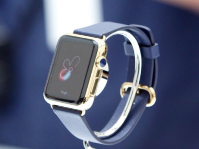  Apple Watch  2015   10 %   UBS