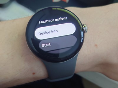  Google Pixel Watch    