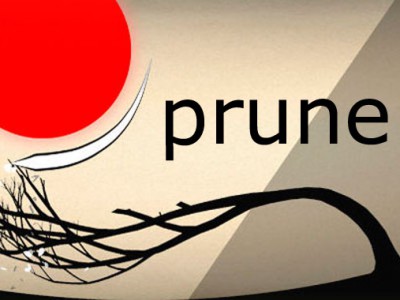   Prune    100  