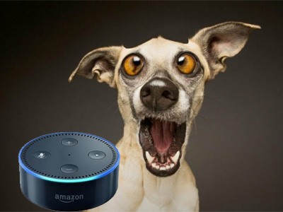 Amazon Alexa     