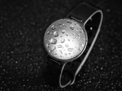 Misfit Speedo Shine 2    