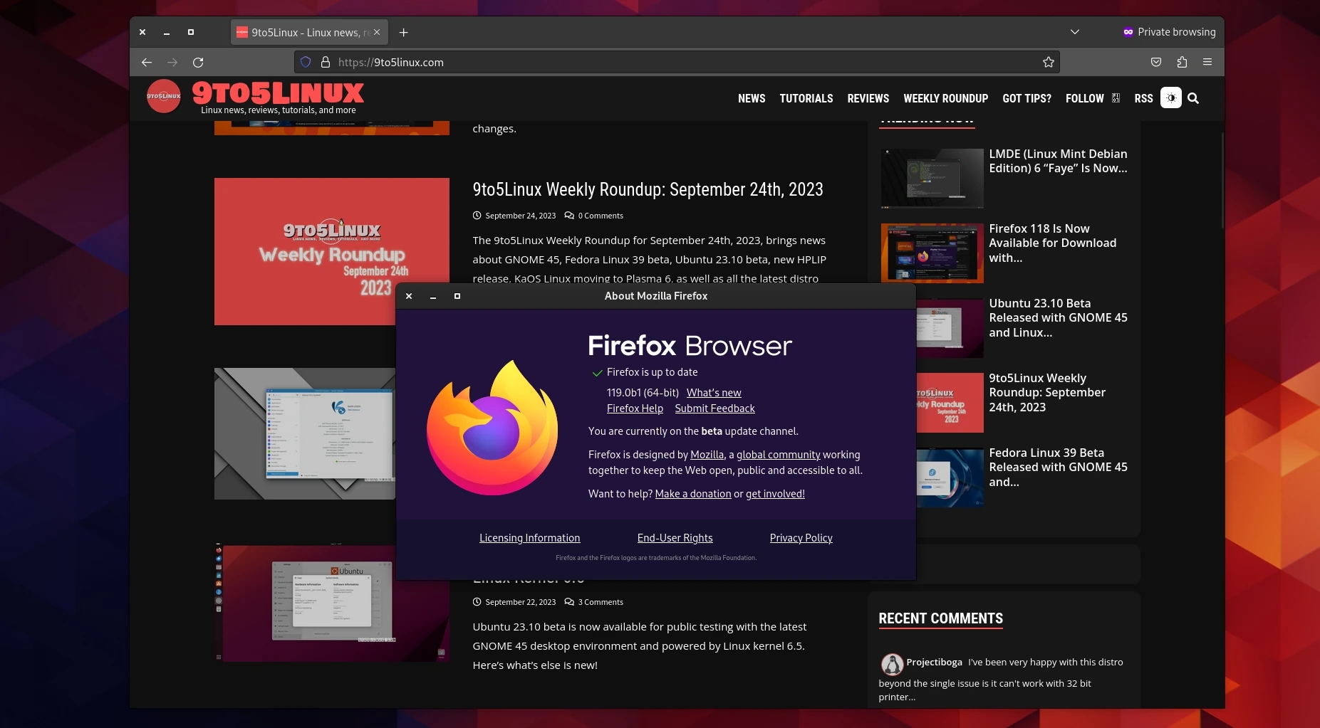 Mozilla Firefox не отвечает: основные причины возникновения проблемы