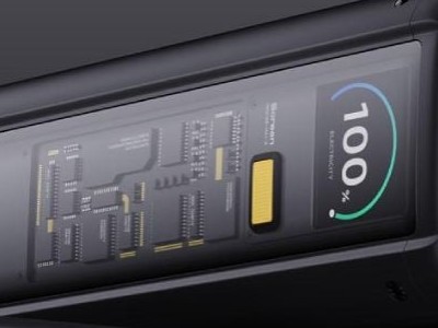 Xiaomi     25 000 