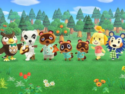 Animal Crossing      Nintendo Switch