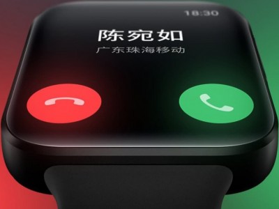 Meizu Watch:     