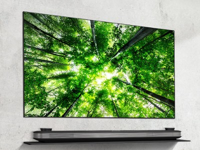 LG     OLED-   