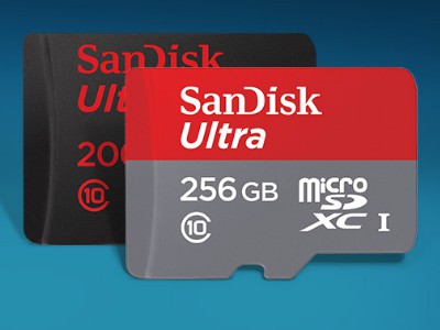 Western Digital   microSD  256 ,   4K