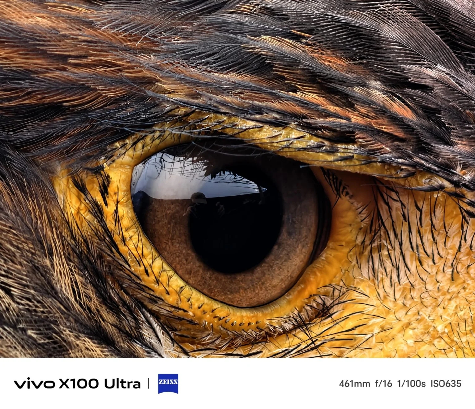 Примеры фото с камерофона vivo X100 Ultra показали до презентации - 4PDA