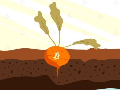  Bitcoin    Taproot.   ?