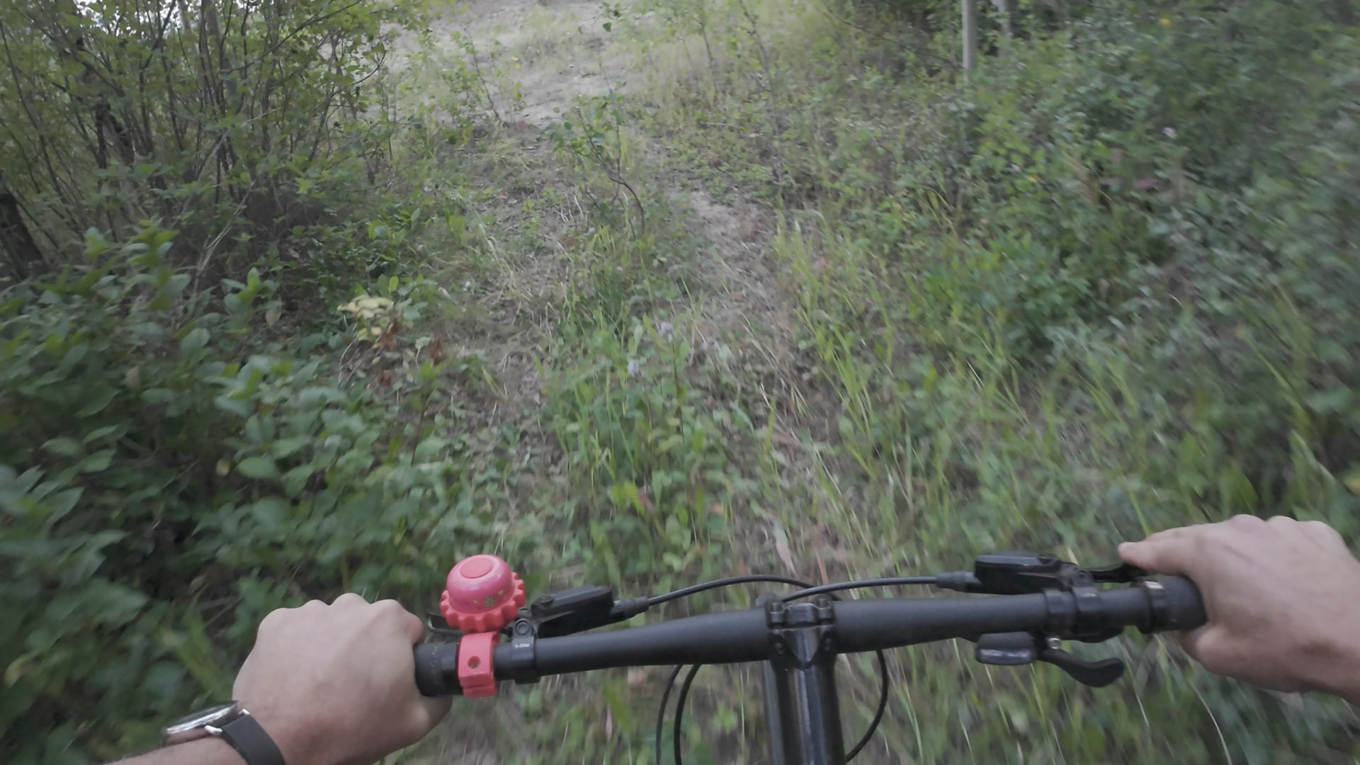 Dji osmo action 4pda online