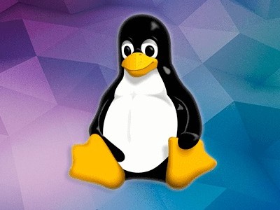 Microsoft      Linux