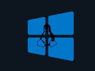 Microsoft   Windows    Linux