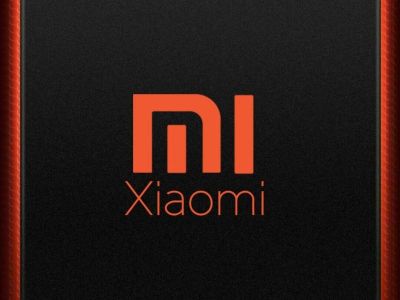 Xiaomi     10 000 