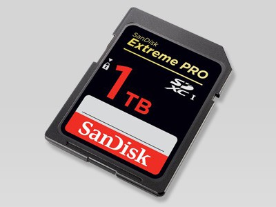 SanDisk  SD-  1 