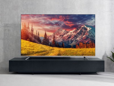 Android TV   :  TCL    8 