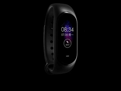 Xiaomi Mi Band 4       